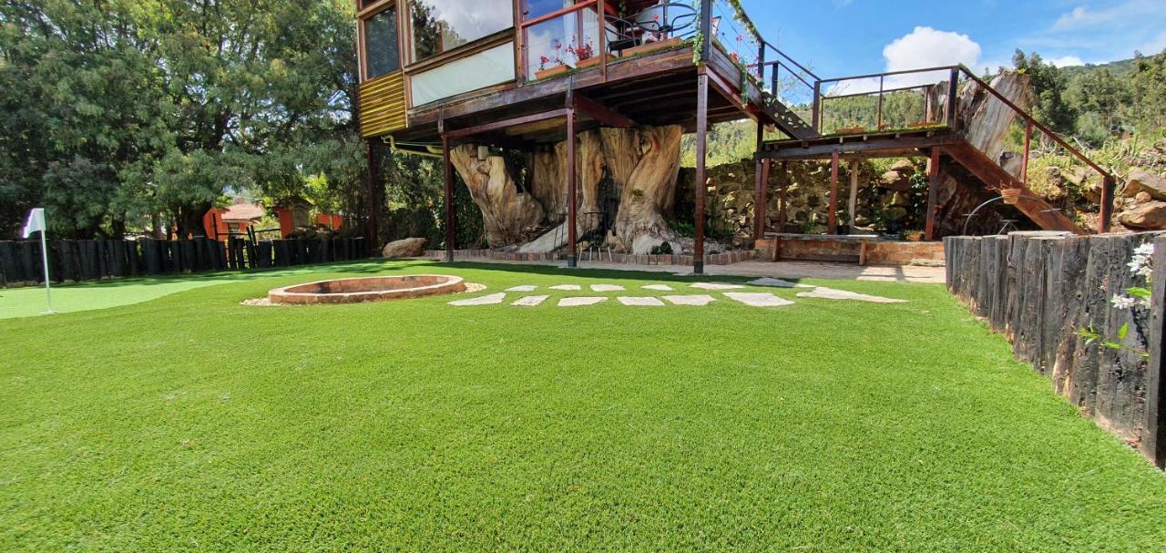 Casa En El Arbol Villa Suesca Eksteriør bilde