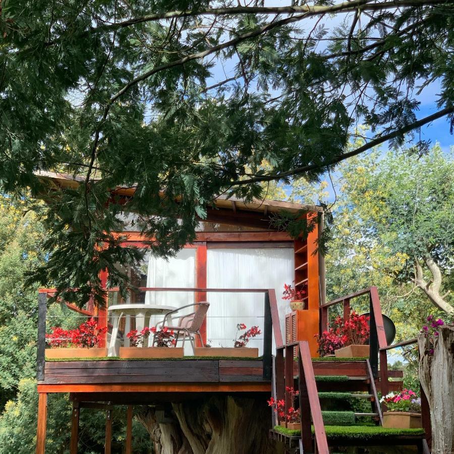 Casa En El Arbol Villa Suesca Eksteriør bilde